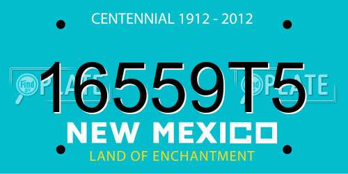 16559T5 New Mexico License Plate