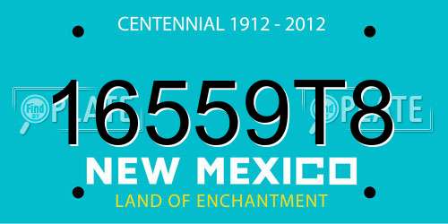 16559T8 New Mexico License Plate