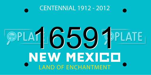 16591 New Mexico License Plate