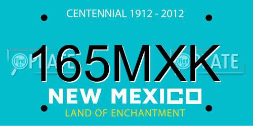 165MXK New Mexico License Plate