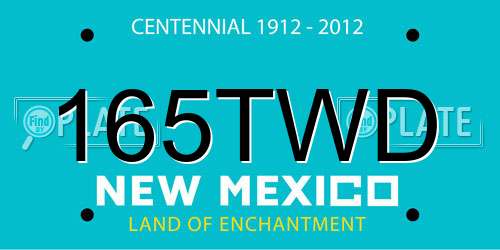 165TWD New Mexico License Plate