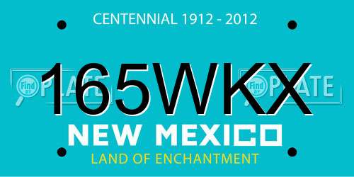 165WKX New Mexico License Plate