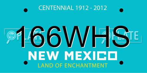 166WHS New Mexico License Plate