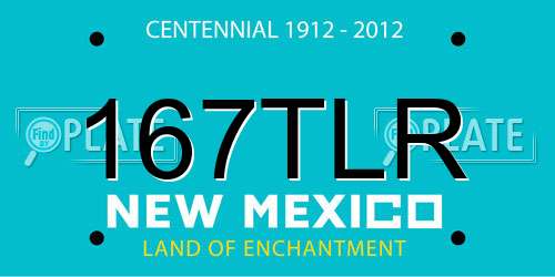 167TLR New Mexico License Plate