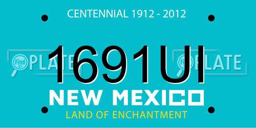 1691UI New Mexico License Plate