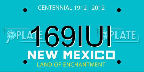 169IUI New Mexico License Plate
