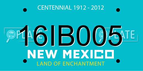 16IB005 New Mexico License Plate