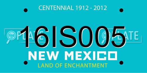 16IS005 New Mexico License Plate