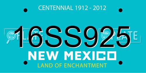 16SS925 New Mexico License Plate