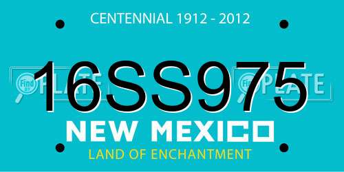 16SS975 New Mexico License Plate