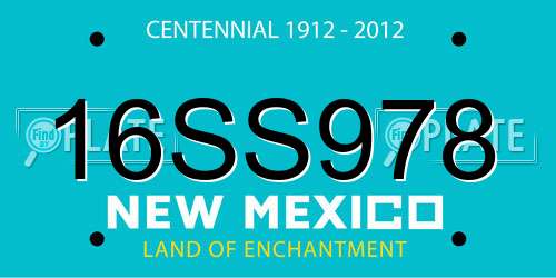 16SS978 New Mexico License Plate
