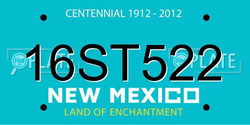 16ST522 New Mexico License Plate