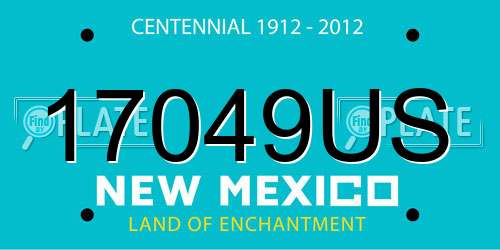 17049US New Mexico License Plate