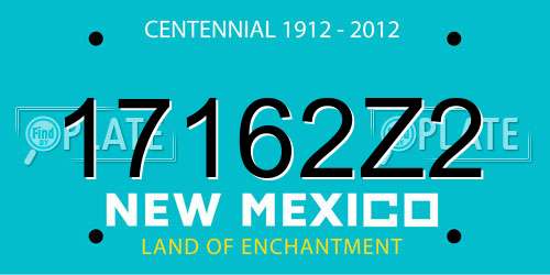 17162Z2 New Mexico License Plate