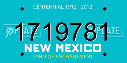 1719781 New Mexico License Plate