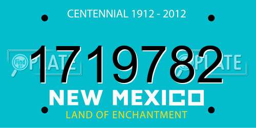 1719782 New Mexico License Plate