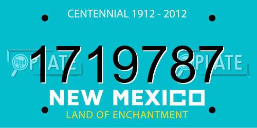 1719787 New Mexico License Plate