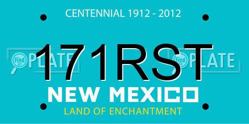 171RST New Mexico License Plate