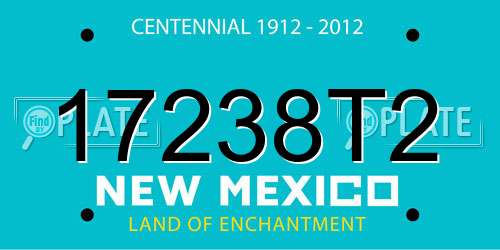 17238T2 New Mexico License Plate