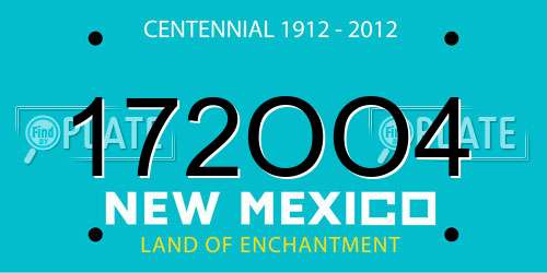 172OO4 New Mexico License Plate