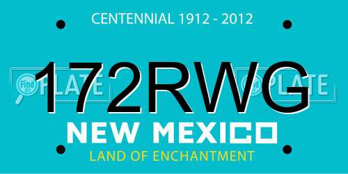 172RWG New Mexico License Plate