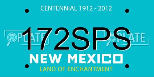 172SPS New Mexico License Plate
