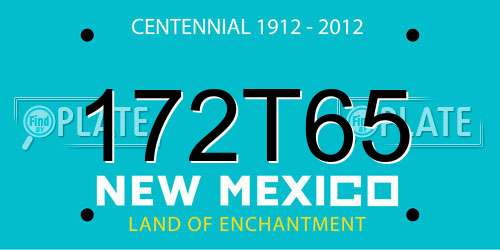 172T65 New Mexico License Plate