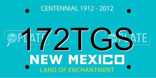 172TGS New Mexico License Plate