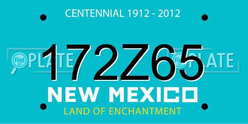 172Z65 New Mexico License Plate