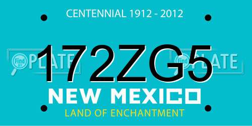 172ZG5 New Mexico License Plate