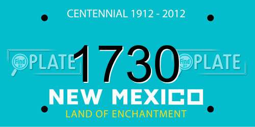 1730 New Mexico License Plate