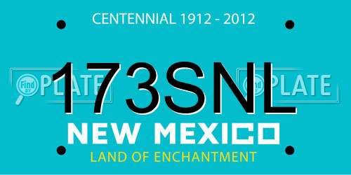 173SNL New Mexico License Plate