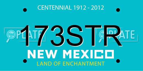 173STR New Mexico License Plate