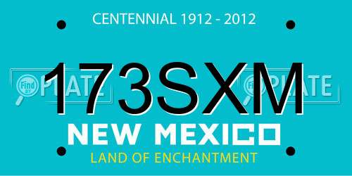 173SXM New Mexico License Plate