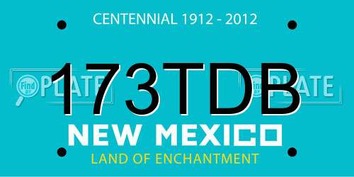 173TDB New Mexico License Plate