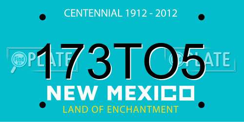 173TO5 New Mexico License Plate