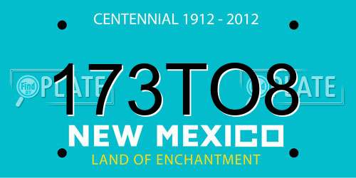 173TO8 New Mexico License Plate