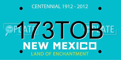 173TOB New Mexico License Plate