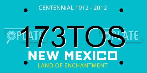 173TOS New Mexico License Plate