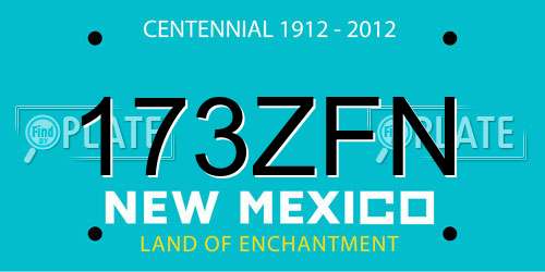 173ZFN New Mexico License Plate