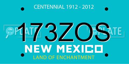173ZOS New Mexico License Plate