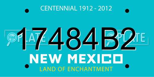 17484B2 New Mexico License Plate