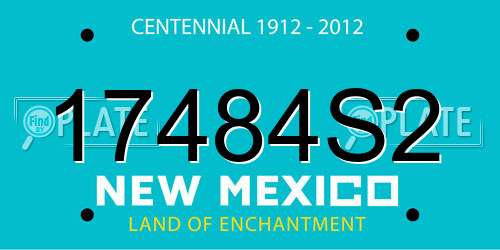 17484S2 New Mexico License Plate