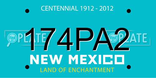 174PA2 New Mexico License Plate