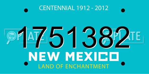 1751382 New Mexico License Plate