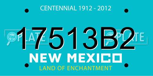 17513B2 New Mexico License Plate