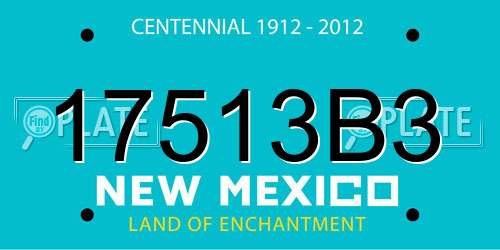 17513B3 New Mexico License Plate