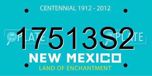 17513S2 New Mexico License Plate