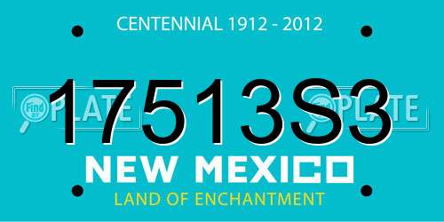 17513S3 New Mexico License Plate