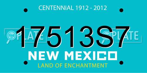 17513S7 New Mexico License Plate